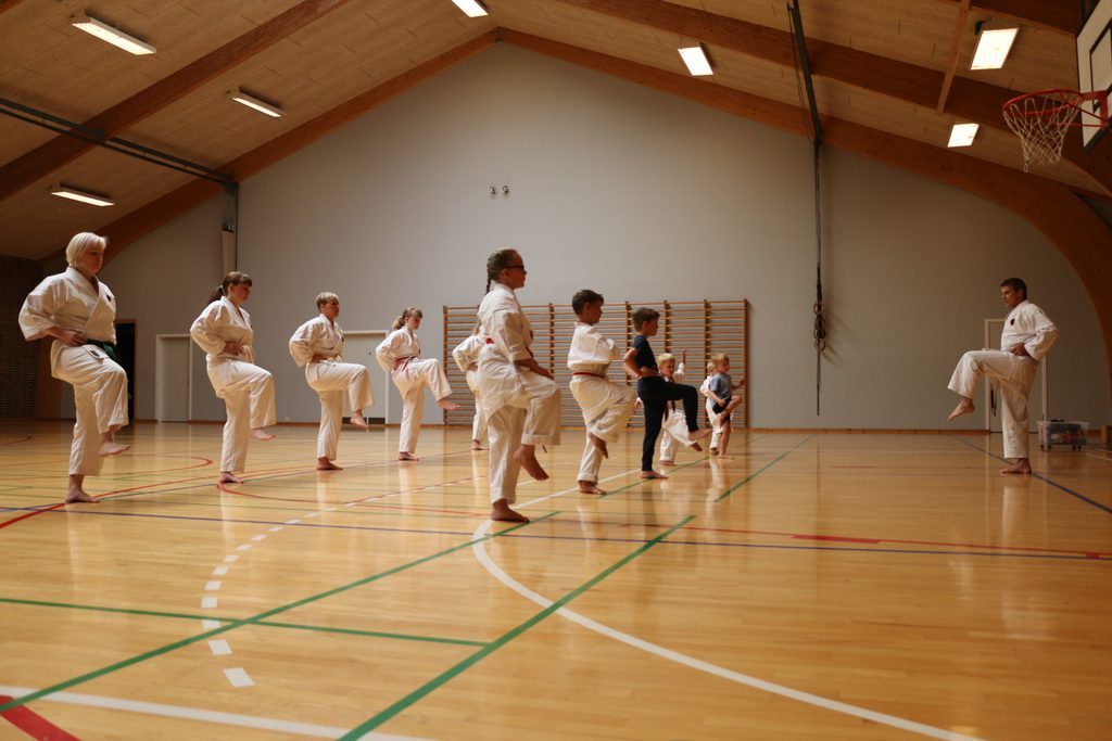 Børn og voksne træner karate sammen i THORS KARATE